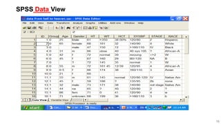 16
SPSS Data View
 