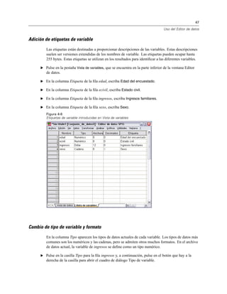 47
Uso del Editor de datos
Adición de etiquetas de variable
Las etiquetas están destinadas a proporcionar descripciones de las variables. Estas descripciones
suelen ser versiones extendidas de los nombres de variable. Las etiquetas pueden ocupar hasta
255 bytes. Estas etiquetas se utilizan en los resultados para identiﬁcar a las diferentes variables.
E Pulse en la pestaña Vista de variables, que se encuentra en la parte inferior de la ventana Editor
de datos.
E En la columna Etiqueta de la ﬁla edad, escriba Edad del encuestado.
E En la columna Etiqueta de la ﬁla ecivil, escriba Estado civil.
E En la columna Etiqueta de la ﬁla ingresos, escriba Ingresos familiares.
E En la columna Etiqueta de la ﬁla sexo, escriba Sexo.
Figura 4-6
Etiquetas de variable introducidas en Vista de variables
Cambio de tipo de variable y formato
En la columna Tipo aparecen los tipos de datos actuales de cada variable. Los tipos de datos más
comunes son los numéricos y las cadenas, pero se admiten otros muchos formatos. En el archivo
de datos actual, la variable de ingresos se deﬁne como un tipo numérico.
E Pulse en la casilla Tipo para la ﬁla ingresos y, a continuación, pulse en el botón que hay a la
derecha de la casilla para abrir el cuadro de diálogo Tipo de variable.
 