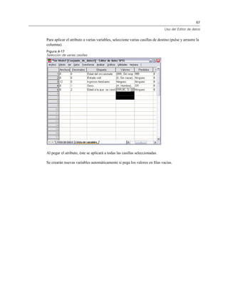57
Uso del Editor de datos
Para aplicar el atributo a varias variables, seleccione varias casillas de destino (pulse y arrastre la
columna).
Figura 4-17
Selección de varias casillas
Al pegar el atributo, éste se aplicará a todas las casillas seleccionadas.
Se crearán nuevas variables automáticamente si pega los valores en ﬁlas vacías.
 
