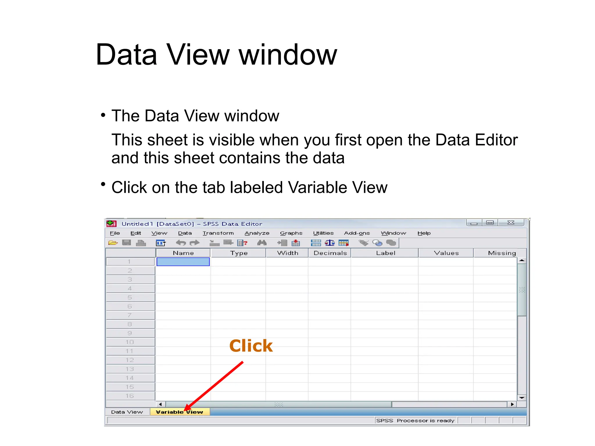 Data View window • The Data View window This sheet is visible when you first open the Data Editor and this sheet contains the data • Click on the tab labeled Variable View Click 