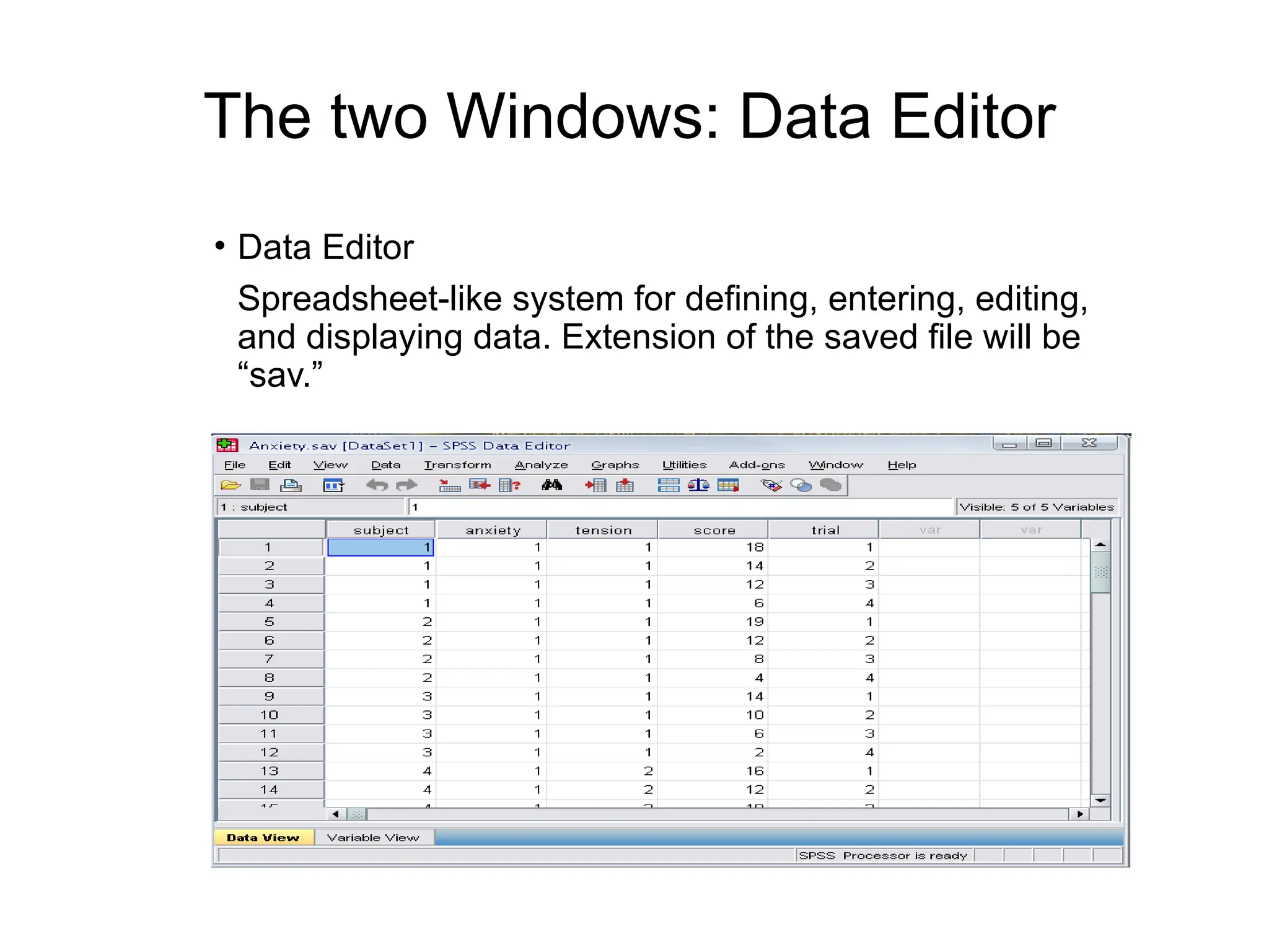 The two Windows: Data Editor • Data Editor Spreadsheet-like system for defining, entering, editing, and displaying data. Extension of the saved file will be “sav.” 