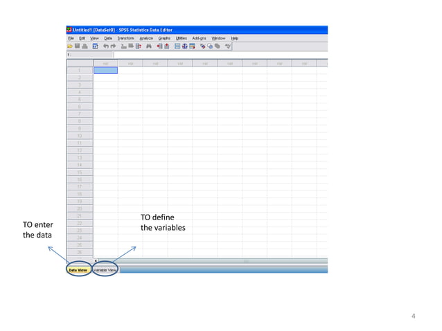 Spss data entry | PPSX | Technology & Computing