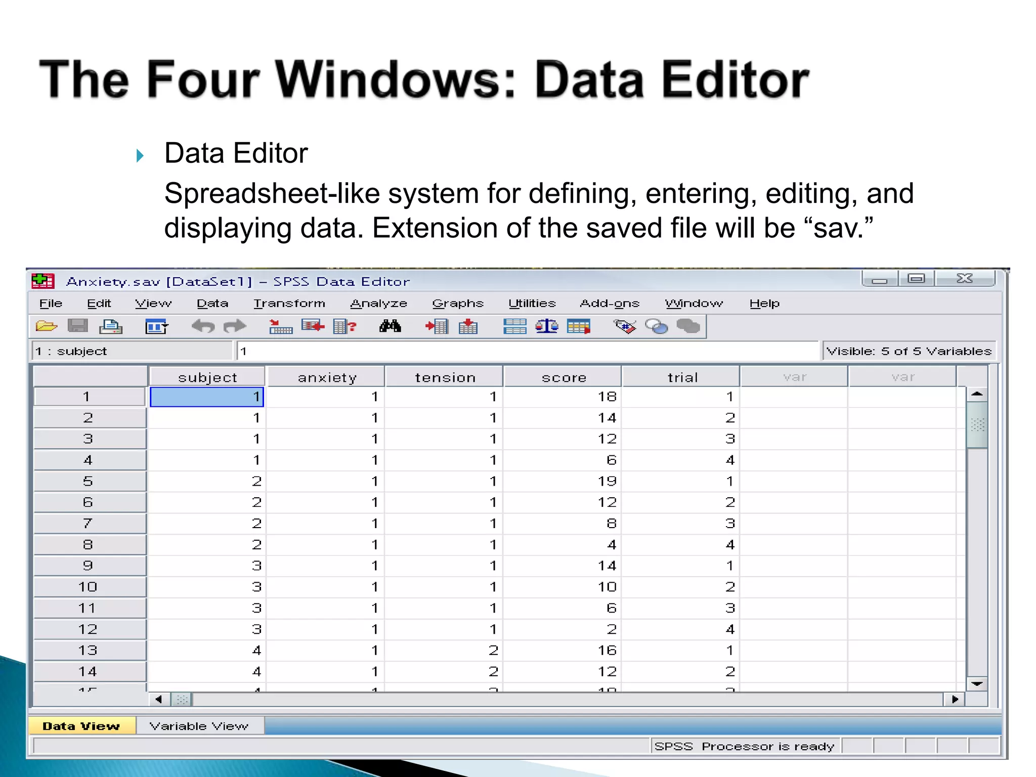  Data Editor
Spreadsheet-like system for defining, entering, editing, and
displaying data. Extension of the saved file will be “sav.”
 