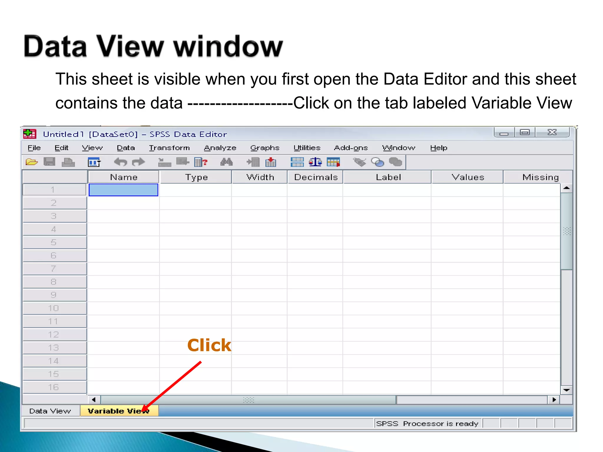 This sheet is visible when you first open the Data Editor and this sheet
contains the data -------------------Click on the tab labeled Variable View
Click
 