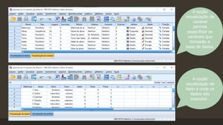 A opção
visualização da
variável
permite
especificar as
variáveis que
formarão a
base de dados.
A opção
visualização de
dado é onde os
dados são
inseridos .
 