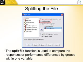 Splitting the File The  split   file  function is used to compare the responses or performance differences by groups within one variable. 