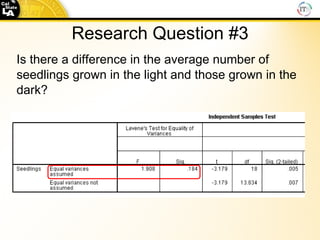 Research Question #3 Is there a difference in the average number of seedlings grown in the light and those grown in the dark?  