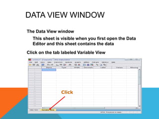 DATA VIEW WINDOW
The Data View window
This sheet is visible when you first open the Data
Editor and this sheet contains the data
Click on the tab labeled Variable View
Click
 