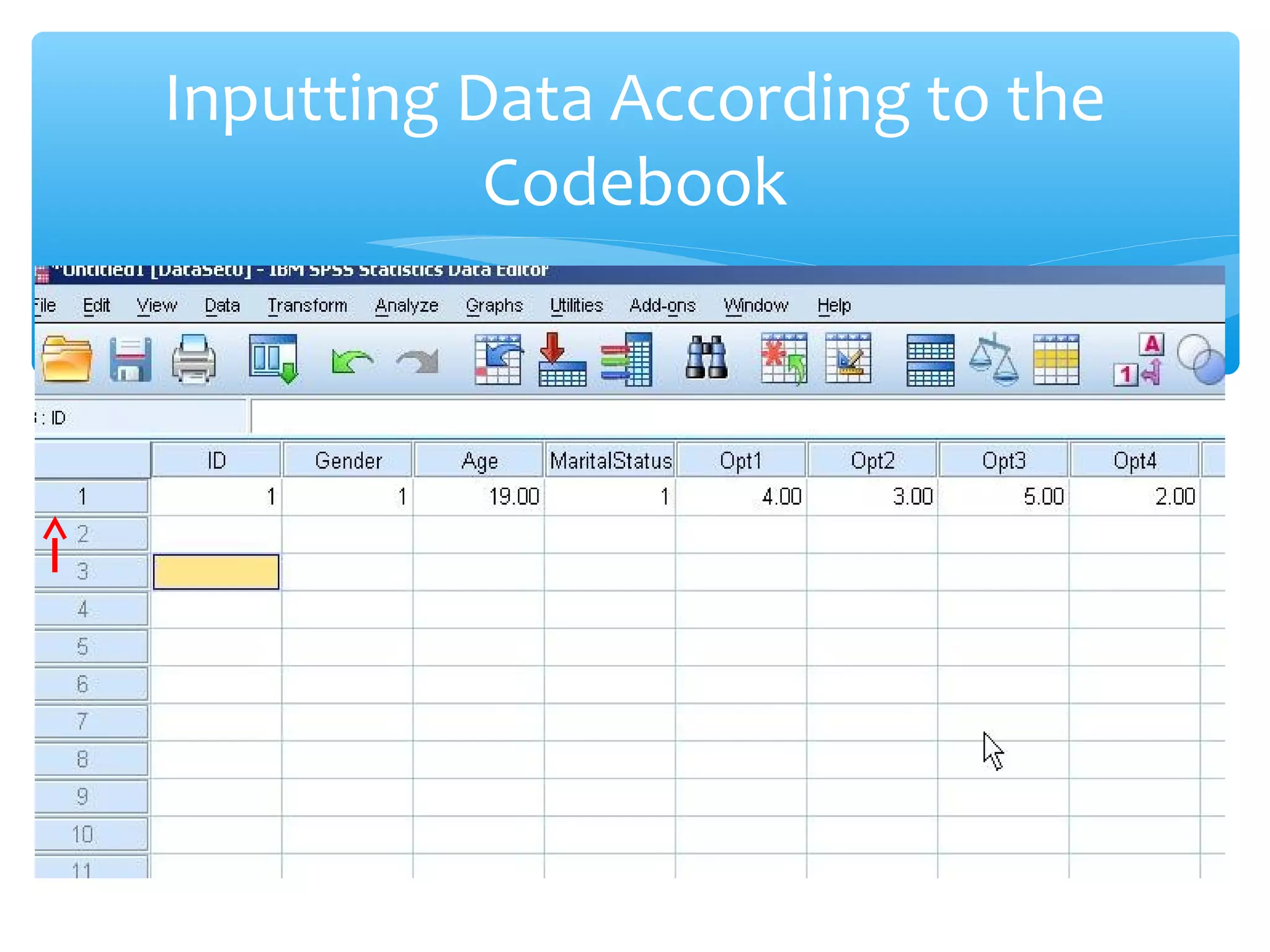 Inputting Data According to the
Codebook
 