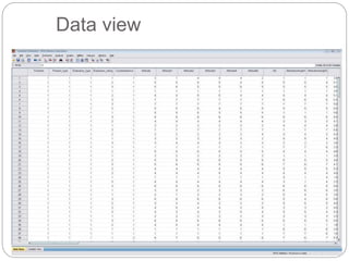 Data view
 