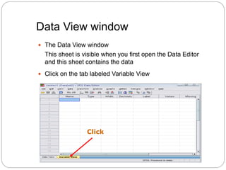 Data View window
 The Data View window
This sheet is visible when you first open the Data Editor
and this sheet contains the data
 Click on the tab labeled Variable View
Click
 