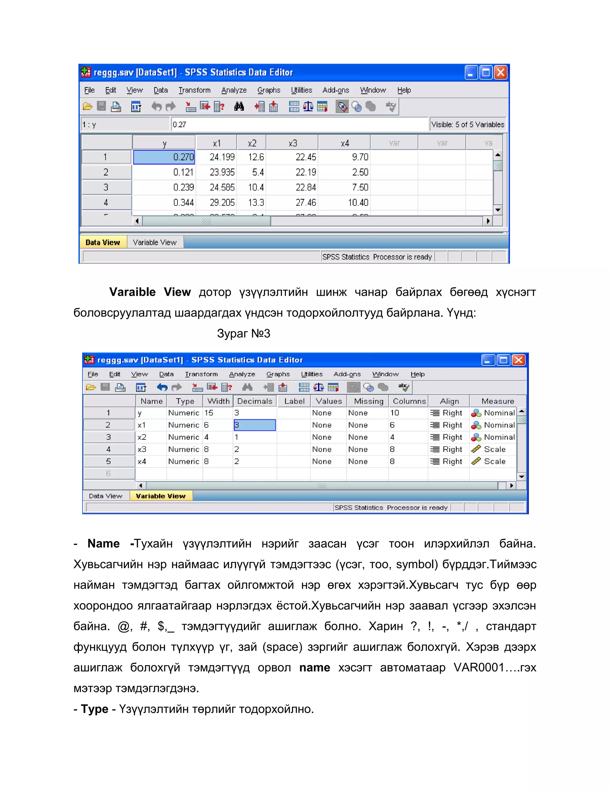 Varaible View дотор үзүүлэлтийн шинж чанар байрлах бөгөөд хүснэгт
боловсруулалтад шаардагдах үндсэн тодорхойлолтууд байрлана. Үүнд:
Зураг №3

- Name -Тухайн үзүүлэлтийн нэрийг заасан үсэг тоон илэрхийлэл байна.
Хувьсагчийн нэр наймаас илүүгүй тэмдэгтээс (үсэг, тоо, symbol) бүрддэг.Тиймээс
найман тэмдэгтэд багтах ойлгомжтой нэр өгөх хэрэгтэй.Хувьсагч тус бүр өөр
хоорондоо ялгаатайгаар нэрлэгдэх ѐстой.Хувьсагчийн нэр заавал үсгээр эхэлсэн
байна. @, #, $,_ тэмдэгтүүдийг ашиглаж болно. Харин ?, !, -, *,/ , стандарт
функцууд болон түлхүүр үг, зай (space) зэргийг ашиглаж болохгүй. Хэрэв дээрх
ашиглаж болохгүй тэмдэгтүүд орвол name хэсэгт автоматаар VAR0001….гэх
мэтээр тэмдэглэгдэнэ.
- Type - Үзүүлэлтийн төрлийг тодорхойлно.

 