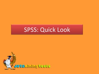 SPSS: Quick Look 