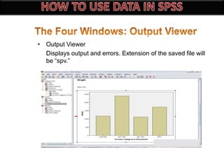 • Output Viewer
Displays output and errors. Extension of the saved file will
be “spv.”
 