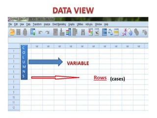 (cases)
C
O
L
U
M
N
S
 
