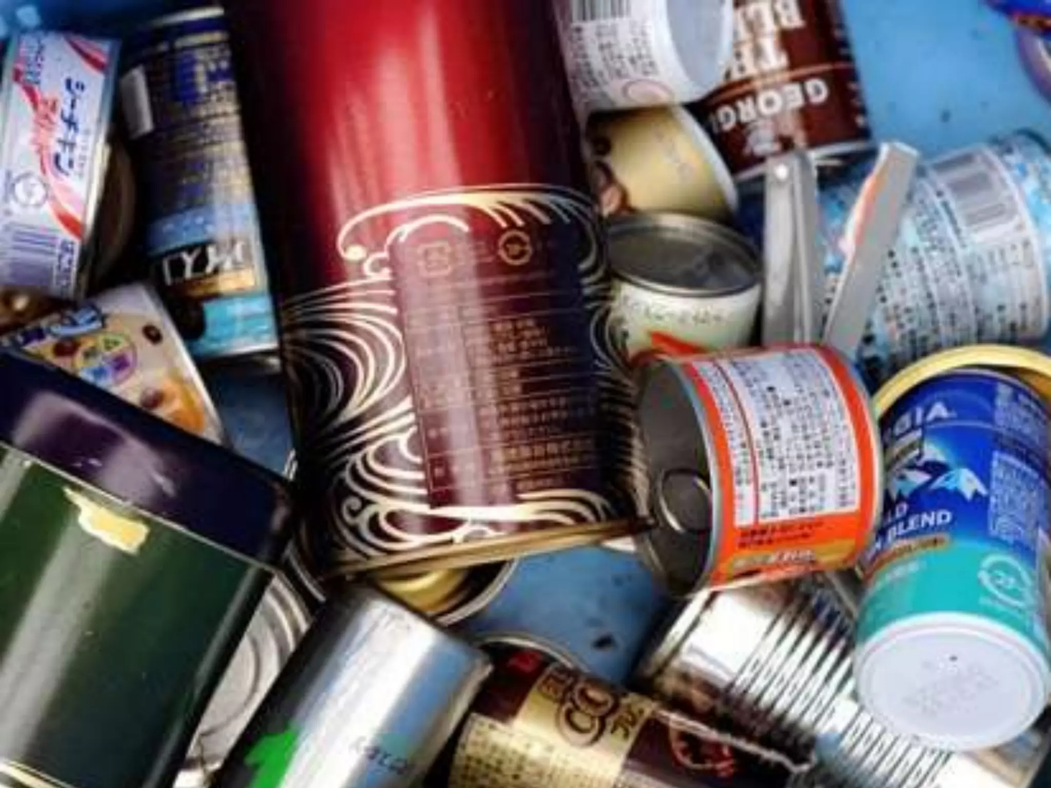 What is Taxonomy?or this…Not this!