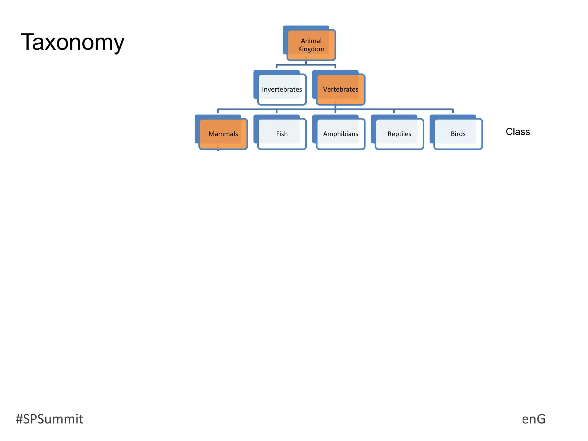 #SPSummit @RHarbridge @RuvenG
Animal
Kingdom
Invertebrates Vertebrates
Mammals
Predators Primates Whales Rodents
Squirrels Mice
Mice & Rats
Hamsters and
Voles
Real
Hamsters
Short-tailed
dwarf
hamsters
Djungarian
dwarf
hampsters
Roborovski
Hamster
Long-tailed
dwarf
hamsters
Voles Gerbils
Porcupines Guinea Pigs
Fish Amphibians Reptiles Birds
Taxonomy
Class
 