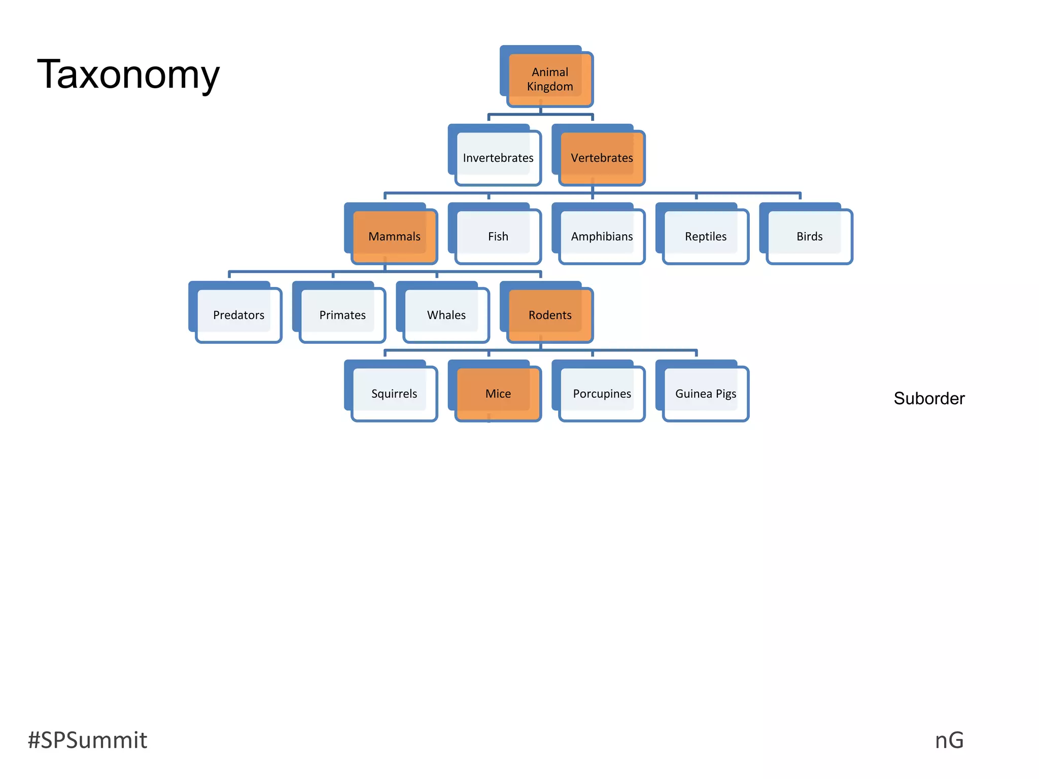 #SPSummit @RHarbridge @RuvenG
Animal
Kingdom
Invertebrates Vertebrates
Mammals
Predators Primates Whales Rodents
Squirrels Mice
Mice & Rats
Hamsters and
Voles
Real
Hamsters
Short-tailed
dwarf
hamsters
Djungarian
dwarf
hampsters
Roborovski
Hamster
Long-tailed
dwarf
hamsters
Voles Gerbils
Porcupines Guinea Pigs
Fish Amphibians Reptiles Birds
Taxonomy
Suborder
 