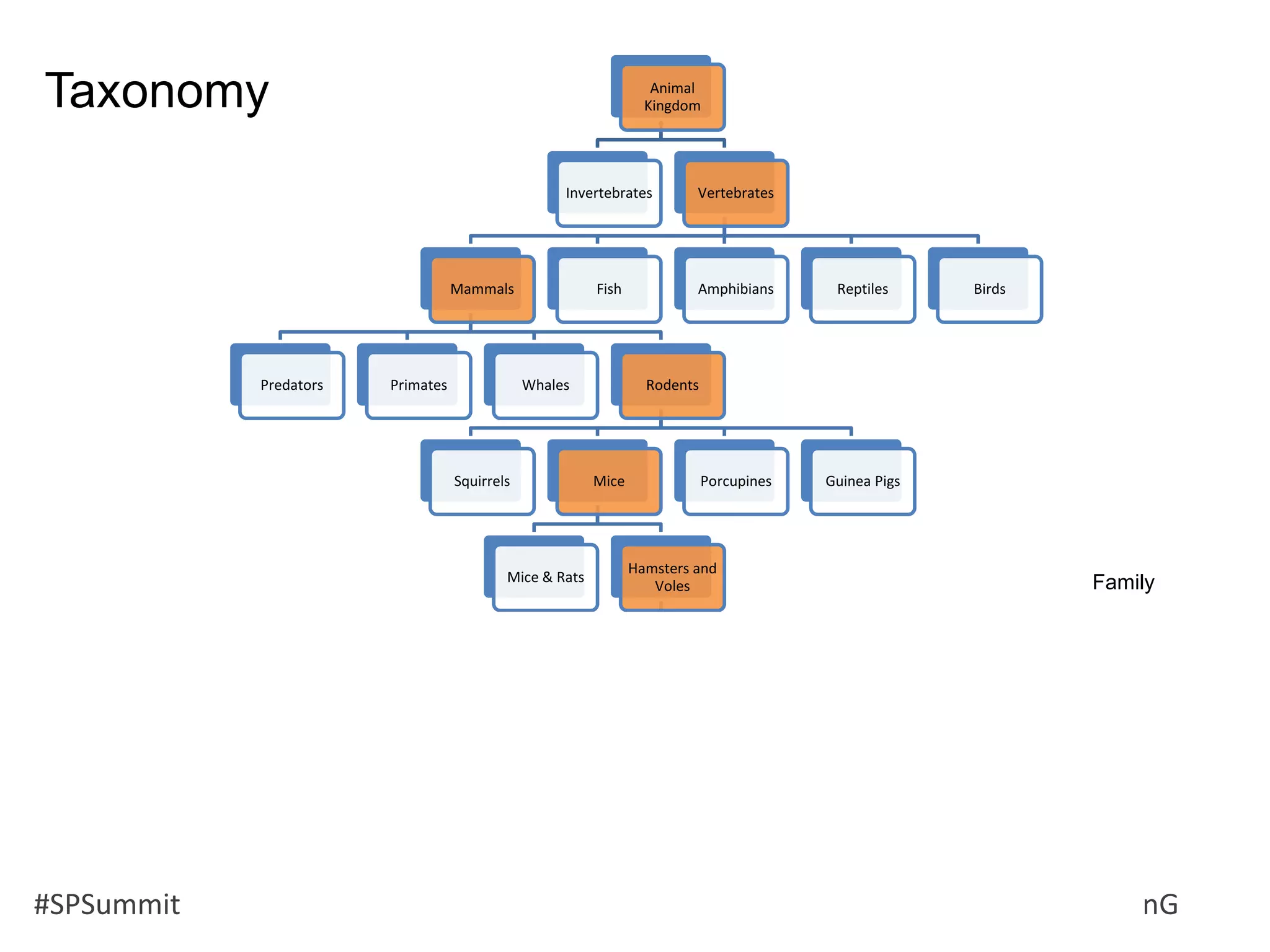 #SPSummit @RHarbridge @RuvenG
Animal
Kingdom
Invertebrates Vertebrates
Mammals
Predators Primates Whales Rodents
Squirrels Mice
Mice & Rats
Hamsters and
Voles
Real
Hamsters
Short-tailed
dwarf
hamsters
Djungarian
dwarf
hampsters
Roborovski
Hamster
Long-tailed
dwarf
hamsters
Voles Gerbils
Porcupines Guinea Pigs
Fish Amphibians Reptiles Birds
Taxonomy
Family
 