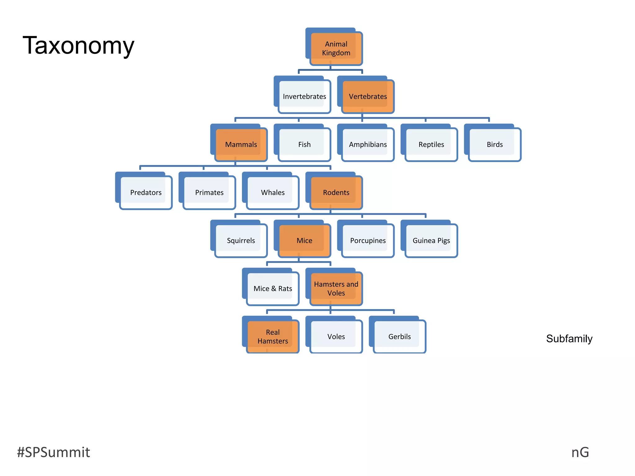 #SPSummit @RHarbridge @RuvenG
Animal
Kingdom
Invertebrates Vertebrates
Mammals
Predators Primates Whales Rodents
Squirrels Mice
Mice & Rats
Hamsters and
Voles
Real
Hamsters
Short-tailed
dwarf
hamsters
Djungarian
dwarf
hampsters
Roborovski
Hamster
Long-tailed
dwarf
hamsters
Voles Gerbils
Porcupines Guinea Pigs
Fish Amphibians Reptiles Birds
Taxonomy
Subfamily
 