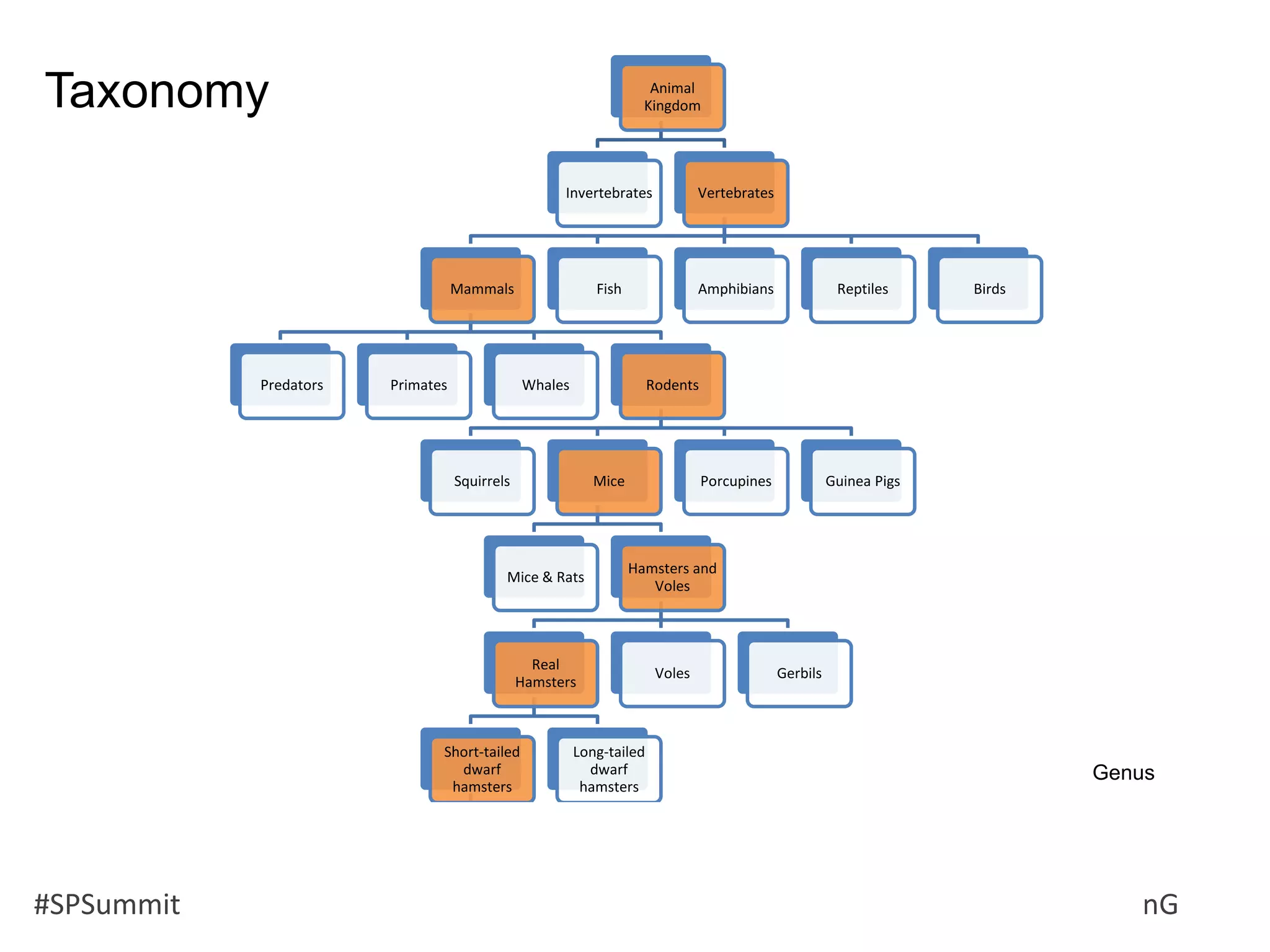 #SPSummit @RHarbridge @RuvenG
Animal
Kingdom
Invertebrates Vertebrates
Mammals
Predators Primates Whales Rodents
Squirrels Mice
Mice & Rats
Hamsters and
Voles
Real
Hamsters
Short-tailed
dwarf
hamsters
Djungarian
dwarf
hampsters
Roborovski
Hamster
Long-tailed
dwarf
hamsters
Voles Gerbils
Porcupines Guinea Pigs
Fish Amphibians Reptiles Birds
Taxonomy
Genus
 