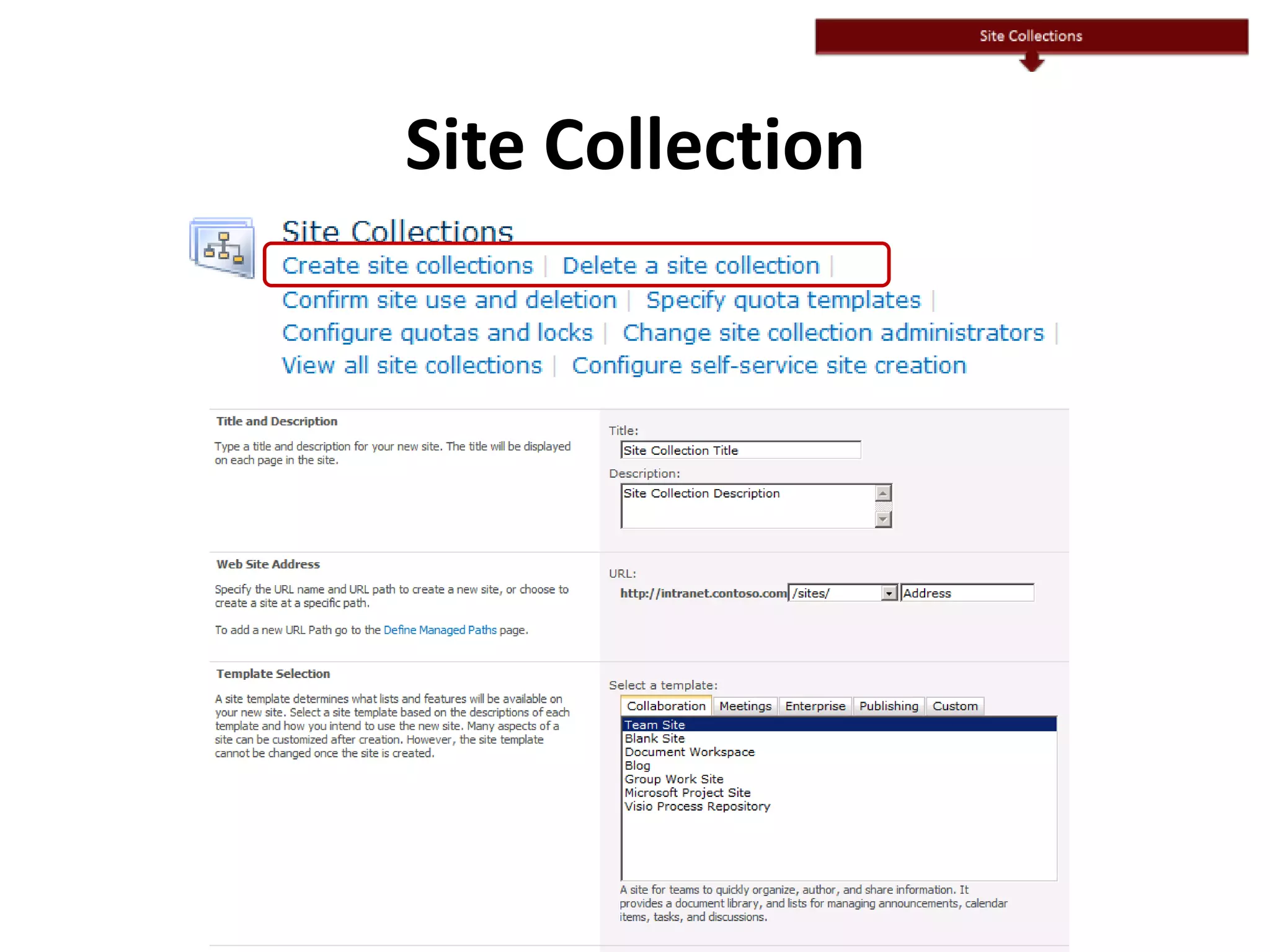 Site Collection
 