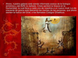 Ahora, nuestra galaxia está siendo informada acerca de la biología armónica y del ADN no dañado. Cristo sembró la Gracia en la Humanidad, la cual lleva a cada uno de nosotros a un nuevo nivel. La ola creciente de gracia está liberando las mentes de las personas, que ahora sienten la fuerza del Grial, o los llamados Códigos Griaélicos. 