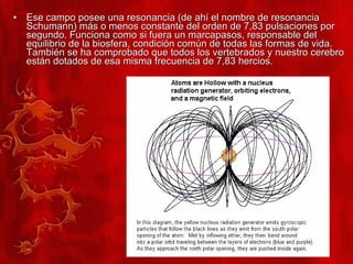 Ese campo posee una resonancia (de ahí el nombre de resonancia Schumann) más o menos constante del orden de 7,83 pulsaciones por segundo. Funciona como si fuera un marcapasos, responsable del equilibrio de la biosfera, condición común de todas las formas de vida. También se ha comprobado que todos los vertebrados y nuestro cerebro están dotados de esa misma frecuencia de 7,83 hercios.  