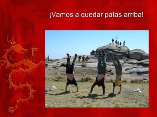 ¡Vamos a quedar patas arriba! 