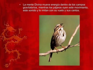 La mente Divina mueve energía dentro de los campos gravitatorios, mientras los pájaros oyen este movimiento, este sonido y lo imitan con su vuelo y sus cantos. 