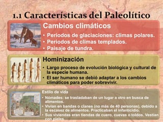 1.1 Características del Paleolítico
Cambios climáticos
• Periodos de glaciaciones: climas polares.
• Periodos de climas templados.
• Paisaje de tundra.
Hominización
• Largo proceso de evolución biológica y cultural de
la especie humana.
• El ser humano se debió adaptar a los cambios
climáticos para poder sobrevivir.
Estilo de vida
• Nómades: se trasladaban de un lugar a otro en busca de
alimentos.
• Vivían en bandas o clanes (no más de 40 personas), debido a
la escasez de alimentos. Practicaban el infanticidio.
• Sus viviendas eran tiendas de cuero, cuevas o toldos. Vestían
con pieles.
 