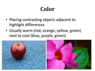 Color
• Placing contrasting objects adjacent to
highlight differences
• Usually warm (red, orange, yellow, green)
next to cool (blue, purple, green)
 