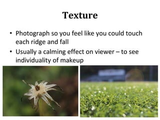 Texture
• Photograph so you feel like you could touch
each ridge and fall
• Usually a calming effect on viewer – to see
individuality of makeup
 