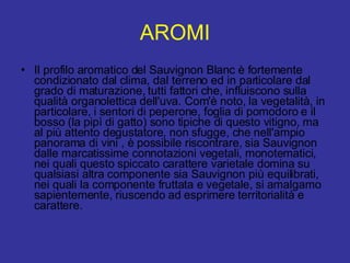 AROMI Il profilo aromatico del Sauvignon Blanc è fortemente condizionato dal clima, dal terreno ed in particolare dal grado di maturazione, tutti fattori che, influiscono sulla qualità organolettica dell'uva. Com'è noto, la vegetalità, in particolare, i sentori di peperone, foglia di pomodoro e il bosso (la pipì di gatto) sono tipiche di questo vitigno, ma al più attento degustatore, non sfugge, che nell'ampio panorama di vini , è possibile riscontrare, sia Sauvignon dalle marcatissime connotazioni vegetali, monotematici, nei quali questo spiccato carattere varietale domina su qualsiasi altra componente sia Sauvignon più equilibrati, nei quali la componente fruttata e vegetale, si amalgamo sapientemente, riuscendo ad esprimere territorialità e carattere.  