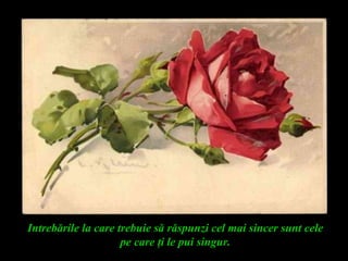 Intrebările la care trebuie să răspunzi cel mai sincer sunt cele
pe care ţi le pui singur.
 