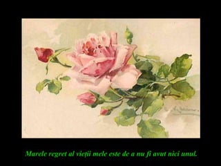 Marele regret al vieţii mele este de a nu fi avut nici unul.
 