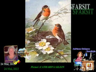 Picturi :CATHARINA KLEIN
 