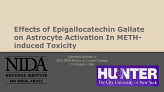 Effects of Epigallocatechin Gallate
on Astrocyte Activation In METH-
induced Toxicity
Columbia University
2015 SPUR Fellow at Hunter College
Christopher Lites
 