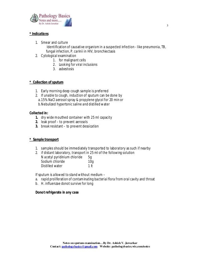 sputum examination sputum test