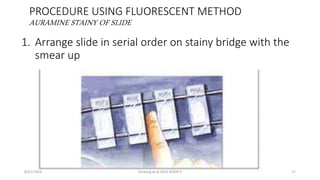 PROCEDURE USING FLUORESCENT METHOD
AURAMINE STAINY OF SLIDE
1. Arrange slide in serial order on stainy bridge with the
smear up
8/21/2015 Fenteng et al 2015 KOGH 5 17
 