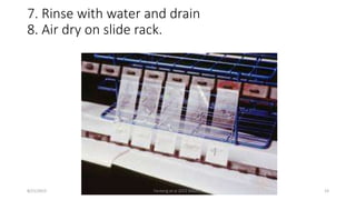 7. Rinse with water and drain
8. Air dry on slide rack.
8/21/2015 Fenteng et al 2015 KOGH 5 23
 