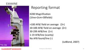 Reporting format
X200 Magnification
(1line=2cm=30fields)
>100 AFB/ field on average (3+)
10-100 AFB/ field on average (2+)
30-299 AFB/line (1+)
1-19 AFB/line (scanty)
No AFB found/line (-)
(LeBlond, 2007)
EXAMINE
FLUORESCENT MICROSCOPE8/21/2015 Fenteng et al 2015 KOGH 5 24
 