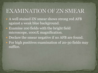 Field Test Afb TB-Sputum AFB Test | PPTX