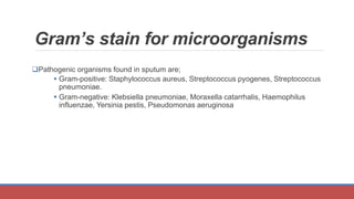 SPUTUM EXAMINATION.pptx