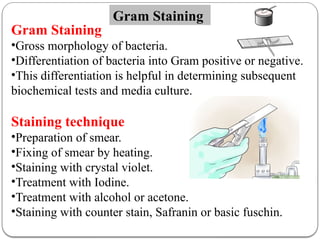 Examination of Sputum By Physical Chemical and microscopic examination ...