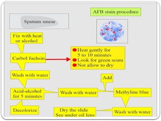 Examination of Sputum By Physical Chemical and microscopic examination ...