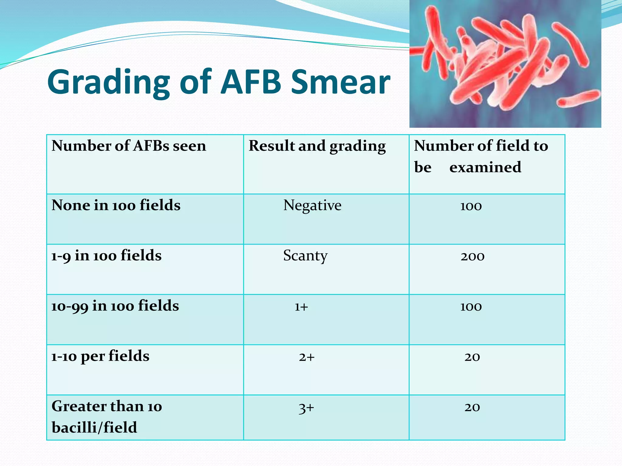 Grading of AFB Smear
Number of AFBs seen Result and grading Number of field to
be examined
None in 100 fields Negative 100
1-9 in 100 fields Scanty 200
10-99 in 100 fields 1+ 100
1-10 per fields 2+ 20
Greater than 10
bacilli/field
3+ 20
 