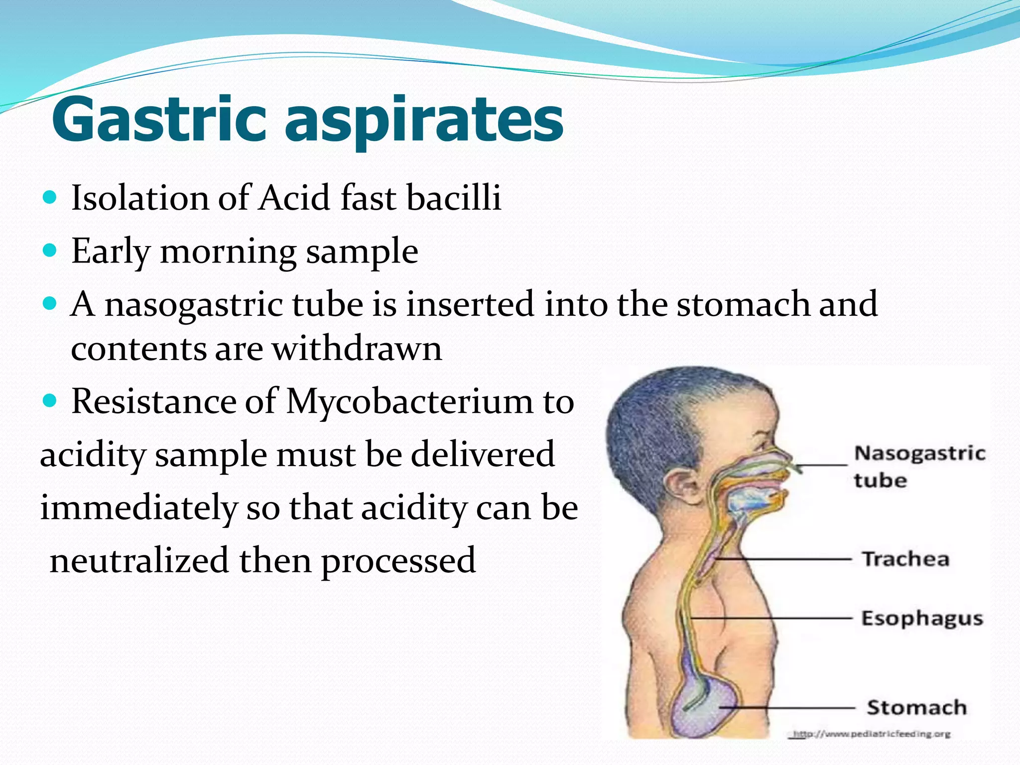 Gastric aspirates
 Isolation of Acid fast bacilli
 Early morning sample
 A nasogastric tube is inserted into the stomach and
contents are withdrawn
 Resistance of Mycobacterium to
acidity sample must be delivered
immediately so that acidity can be
neutralized then processed
 