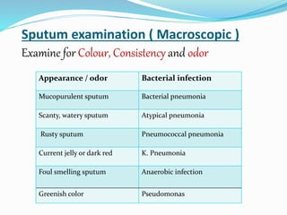 Sputum examination ( Macroscopic )
Examine for Colour, Consistency and odor
Appearance / odor Bacterial infection
Mucopurulent sputum Bacterial pneumonia
Scanty, watery sputum Atypical pneumonia
Rusty sputum Pneumococcal pneumonia
Current jelly or dark red K. Pneumonia
Foul smelling sputum Anaerobic infection
Greenish color Pseudomonas
 