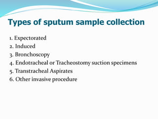 Types of sputum sample collection
1. Expectorated
2. Induced
3. Bronchoscopy
4. Endotracheal or Tracheostomy suction specimens
5. Transtracheal Aspirates
6. Other invasive procedure
 
